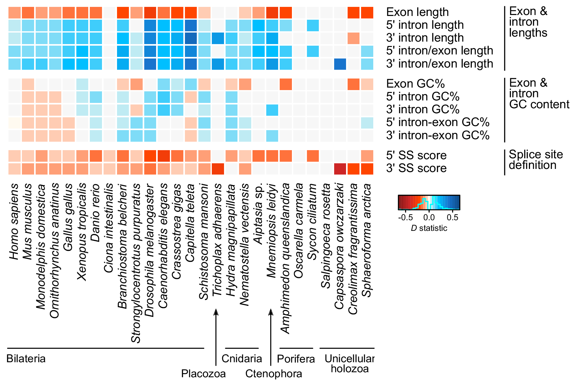 Positive (blue) and negative (red) associations of various gene architectural features with higher ES levels, for some holozoans. All 65 species are shown in the paper.