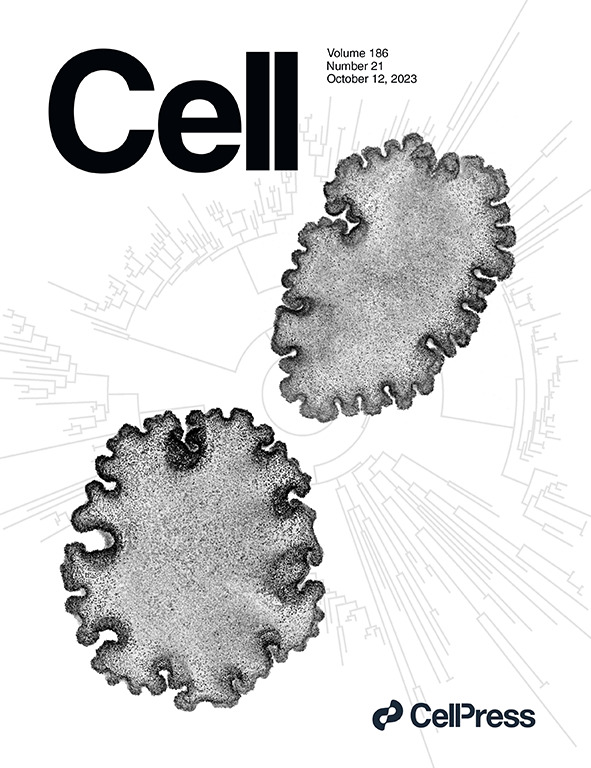 Cell cover 12oct23